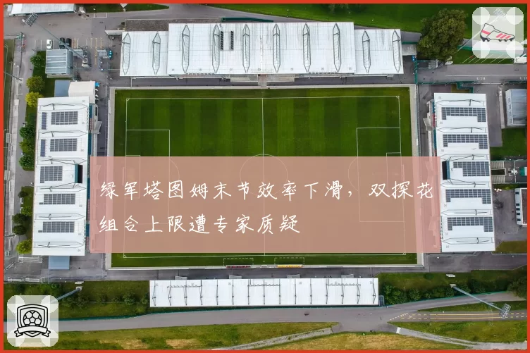 绿军塔图姆末节效率下滑，双探花组合上限遭专家质疑