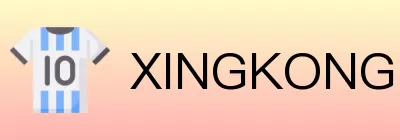 XINGKONG logo